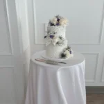 Custom cake with colorful buttercream and fondant decorations by Shabnam Cake House in Richmond Hill