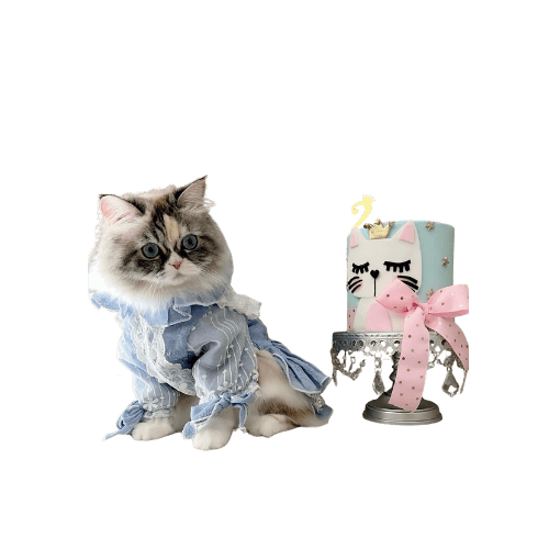 Custom cake with colorful buttercream and fondant decorations by Shabnam Cake House in Richmond Hill